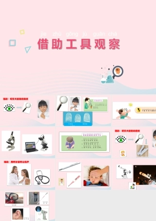 一年级科学上册 第6课《借助工具观察》课件（1） 苏教版-苏教版小学一年级上册自然科学课件