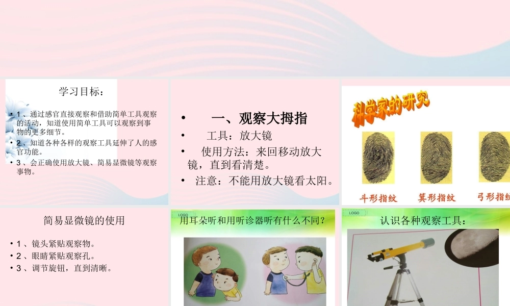 一年级科学上册 第6课《借助工具观察》课件（2） 苏教版-苏教版小学一年级上册自然科学课件