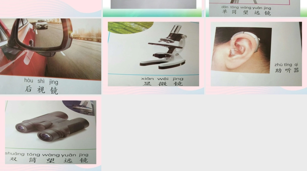 一年级科学上册 第6课《借助工具观察》课件（2） 苏教版-苏教版小学一年级上册自然科学课件