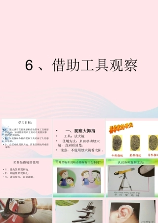 一年级科学上册 第6课《借助工具观察》课件（2） 苏教版-苏教版小学一年级上册自然科学课件