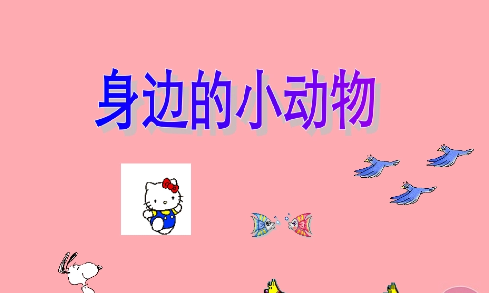 一年级科学上册 第7课 身边的动物课件 冀教版-冀教版小学一年级上册自然科学课件