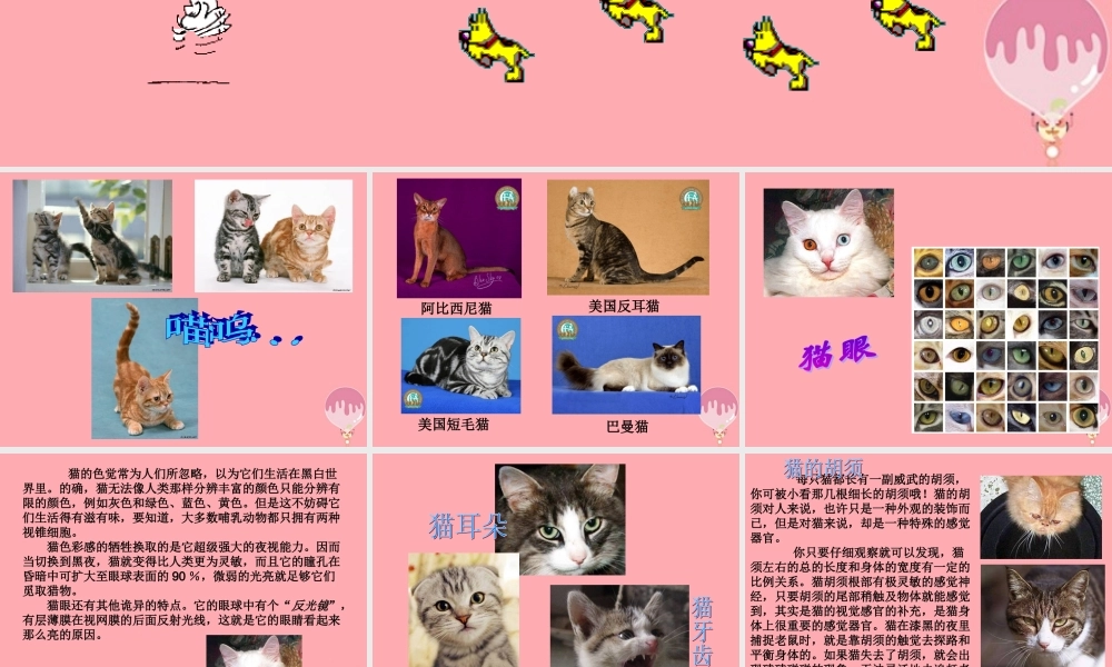 一年级科学上册 第7课 身边的动物课件 冀教版-冀教版小学一年级上册自然科学课件