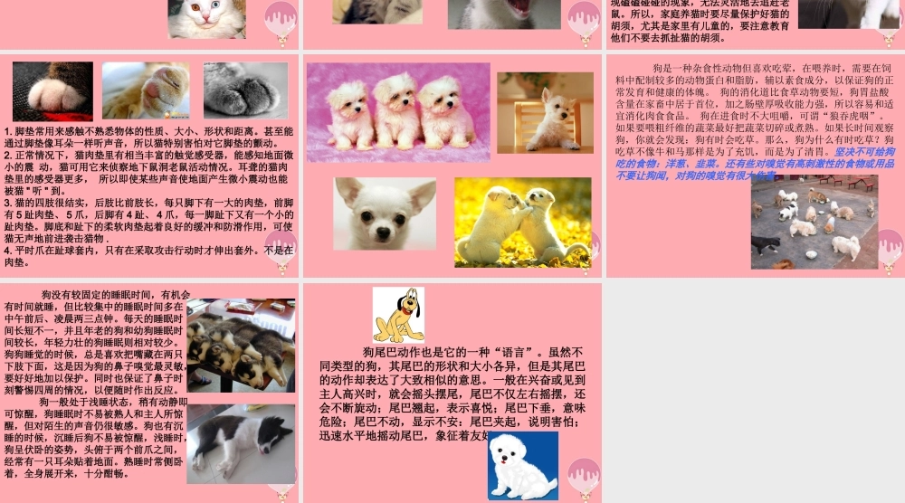 一年级科学上册 第7课 身边的动物课件 冀教版-冀教版小学一年级上册自然科学课件