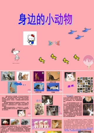 一年级科学上册 第7课 身边的动物课件 冀教版-冀教版小学一年级上册自然科学课件