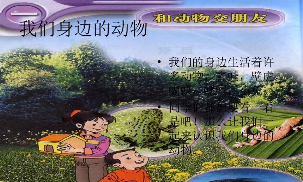 一年级科学上册 第7课 身边的动物课件1 冀教版-冀教版小学一年级上册自然科学课件