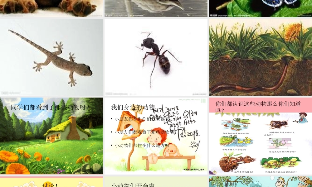 一年级科学上册 第7课 身边的动物课件1 冀教版-冀教版小学一年级上册自然科学课件