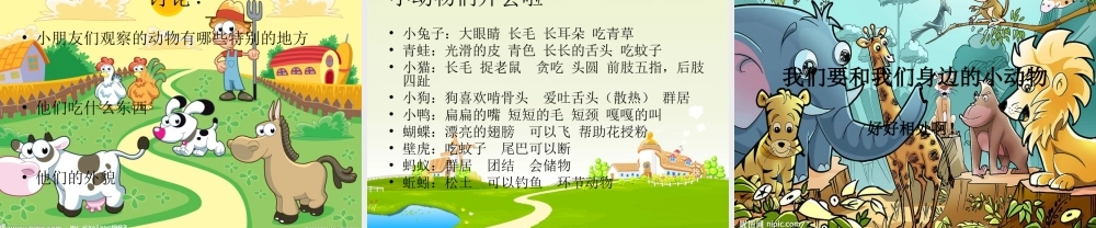 一年级科学上册 第7课 身边的动物课件1 冀教版-冀教版小学一年级上册自然科学课件