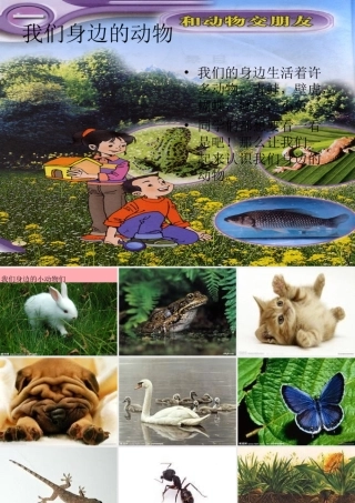 一年级科学上册 第7课 身边的动物课件1 冀教版-冀教版小学一年级上册自然科学课件