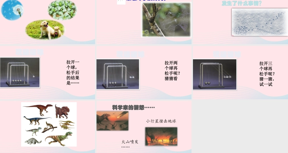 一年级科学上册 第7课《做个小侦探》课件（1） 苏教版-苏教版小学一年级上册自然科学课件