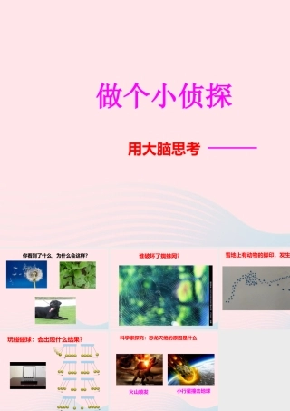 一年级科学上册 第7课《做个小侦探》课件（2） 苏教版-苏教版小学一年级上册自然科学课件