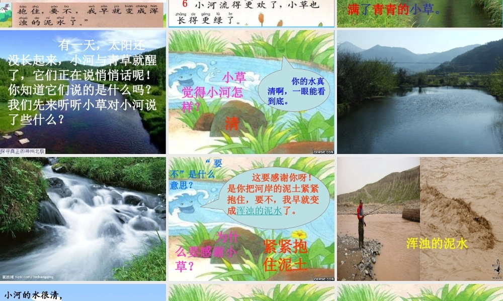 一年级语文上册《小河与青草》课件3 苏教版-苏教版小学一年级上册语文课件