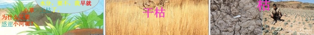 一年级语文上册《小河与青草》课件3 苏教版-苏教版小学一年级上册语文课件