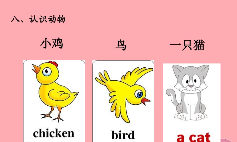 一年级科学上册 第8课 认识动物课件 冀教版-冀教版小学一年级上册自然科学课件