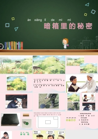 一年级科学上册 第8课《暗箱里的秘密》课件 苏教版-苏教版小学一年级上册自然科学课件