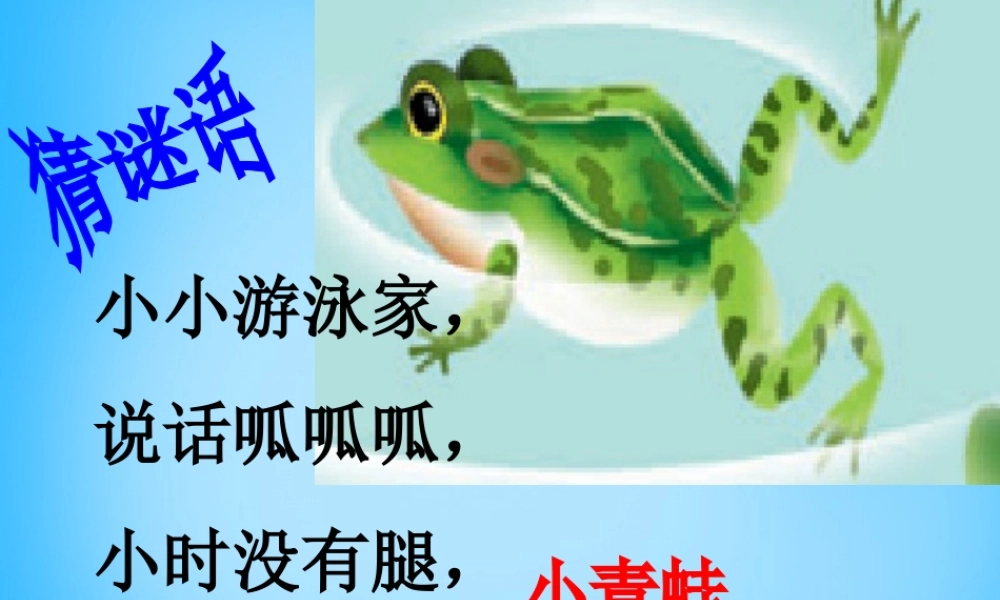 一年级语文上册《小青蛙》课件2 语文A版-语文A版小学一年级上册语文课件