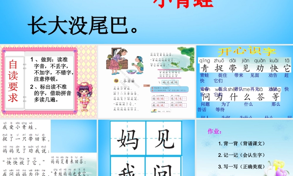 一年级语文上册《小青蛙》课件2 语文A版-语文A版小学一年级上册语文课件