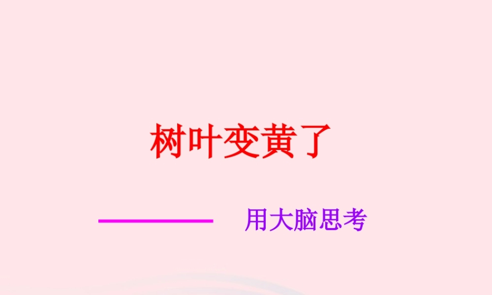 一年级科学上册 第9课《树叶变黄了》课件 苏教版-苏教版小学一年级上册自然科学课件