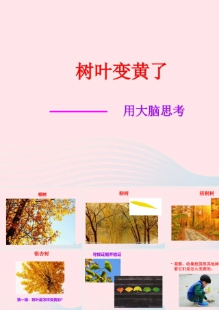 一年级科学上册 第9课《树叶变黄了》课件 苏教版-苏教版小学一年级上册自然科学课件