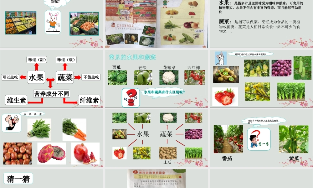 一年级科学上册 第二单元 水果和蔬菜 5 常见的水果和蔬菜课件1 （新版）粤教版-（新版）粤教版小学一年级上册自然科学课件