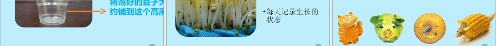 一年级科学上册 第二单元 水果和蔬菜 5 常见的水果和蔬菜课件3 （新版）粤教版-（新版）粤教版小学一年级上册自然科学课件