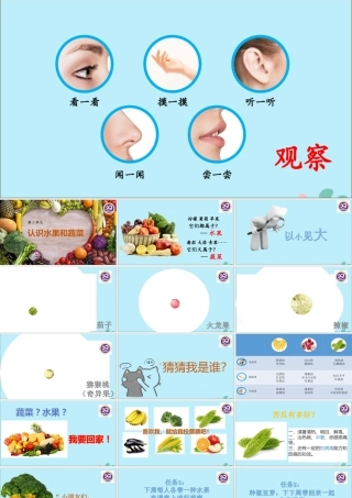 一年级科学上册 第二单元 水果和蔬菜 5 常见的水果和蔬菜课件3 （新版）粤教版-（新版）粤教版小学一年级上册自然科学课件