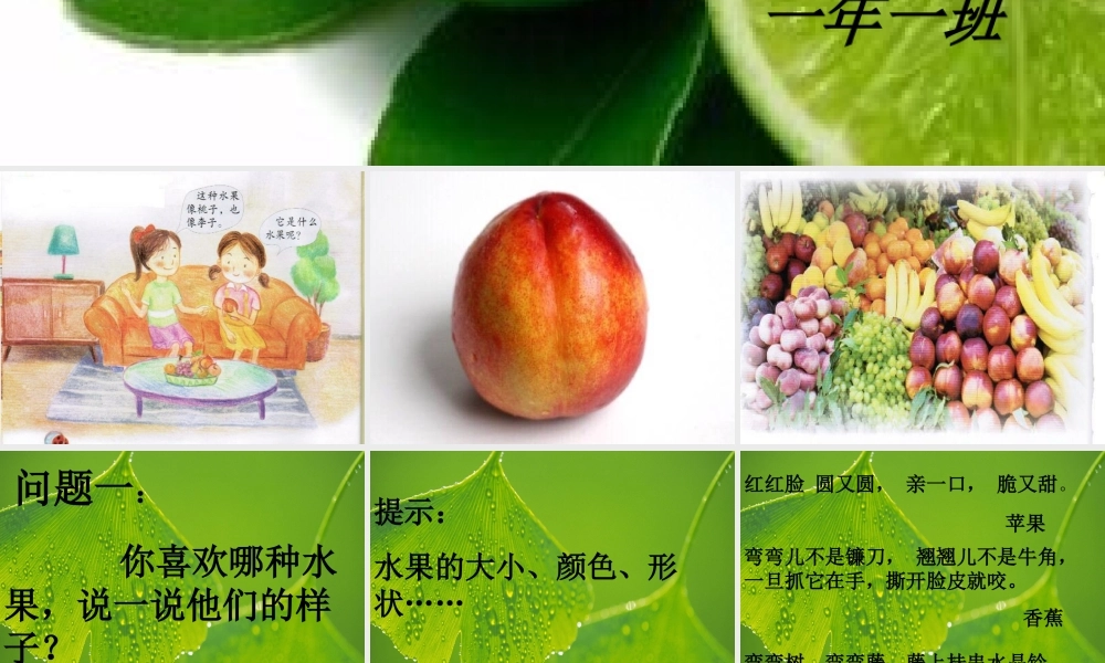 一年级科学上册 第二单元 水果和蔬菜 6 美味的水果课件4 （新版）粤教版-（新版）粤教版小学一年级上册自然科学课件
