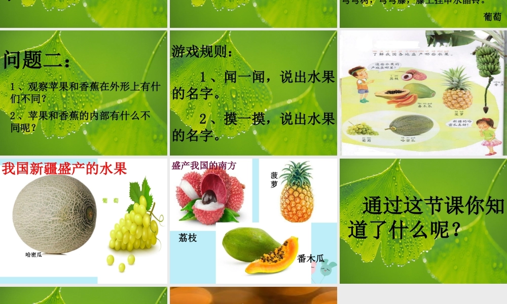 一年级科学上册 第二单元 水果和蔬菜 6 美味的水果课件4 （新版）粤教版-（新版）粤教版小学一年级上册自然科学课件