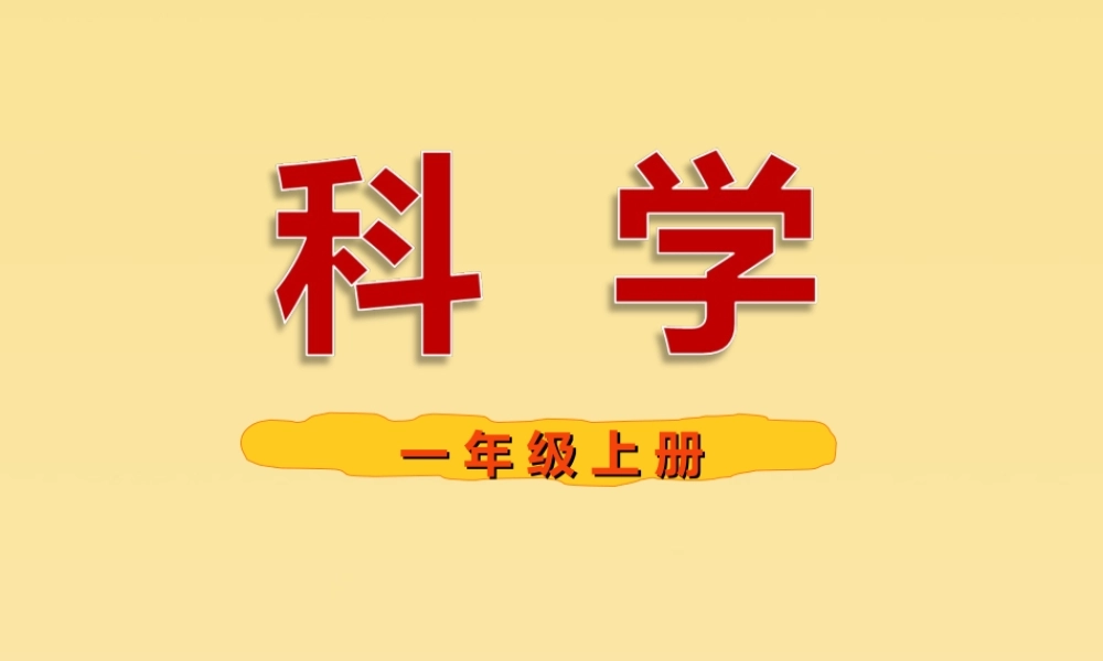 一年级科学上册 第二单元 水果和蔬菜 6 美味的水果课件5 （新版）粤教版-（新版）粤教版小学一年级上册自然科学课件