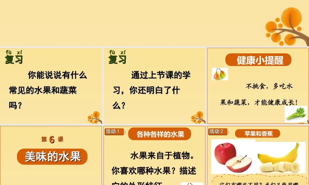 一年级科学上册 第二单元 水果和蔬菜 6 美味的水果课件5 （新版）粤教版-（新版）粤教版小学一年级上册自然科学课件
