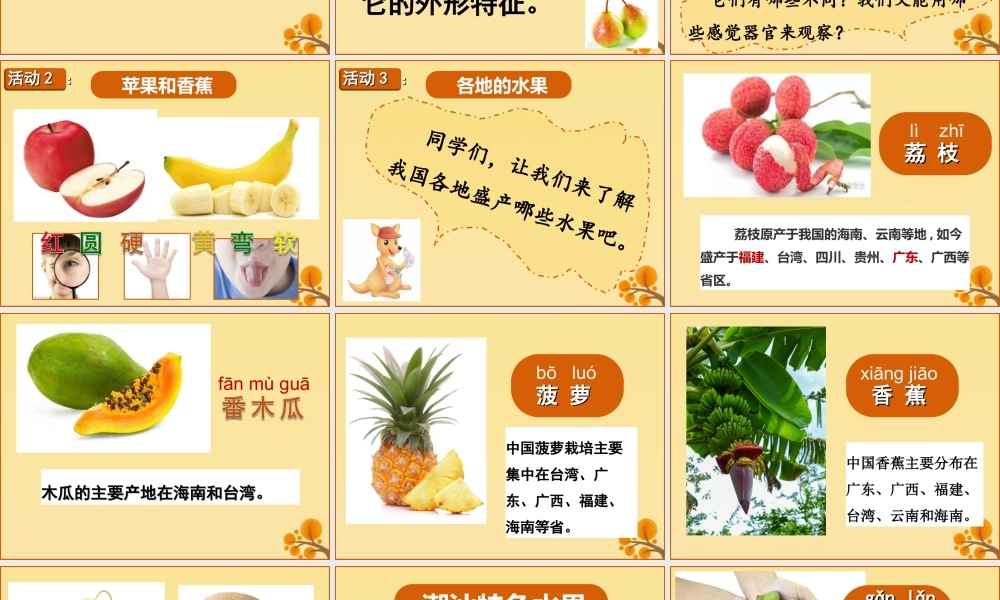 一年级科学上册 第二单元 水果和蔬菜 6 美味的水果课件5 （新版）粤教版-（新版）粤教版小学一年级上册自然科学课件