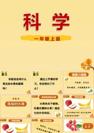 一年级科学上册 第二单元 水果和蔬菜 6 美味的水果课件5 （新版）粤教版-（新版）粤教版小学一年级上册自然科学课件