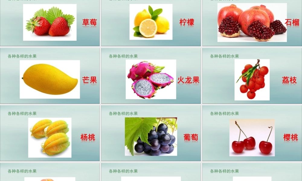 一年级科学上册 第二单元 水果和蔬菜 6 美味的水果课件8 （新版）粤教版-（新版）粤教版小学一年级上册自然科学课件