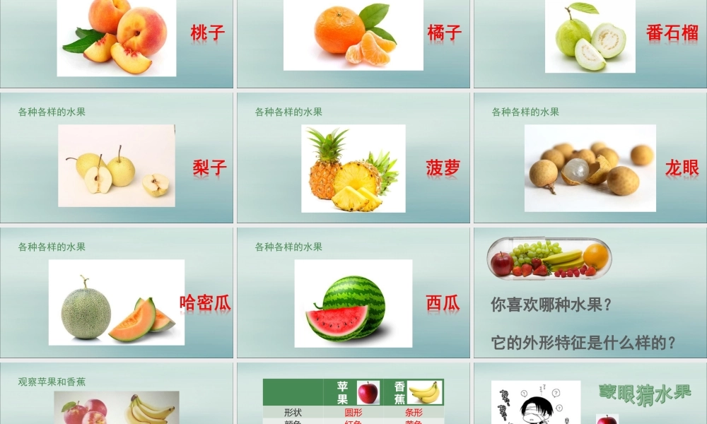 一年级科学上册 第二单元 水果和蔬菜 6 美味的水果课件8 （新版）粤教版-（新版）粤教版小学一年级上册自然科学课件