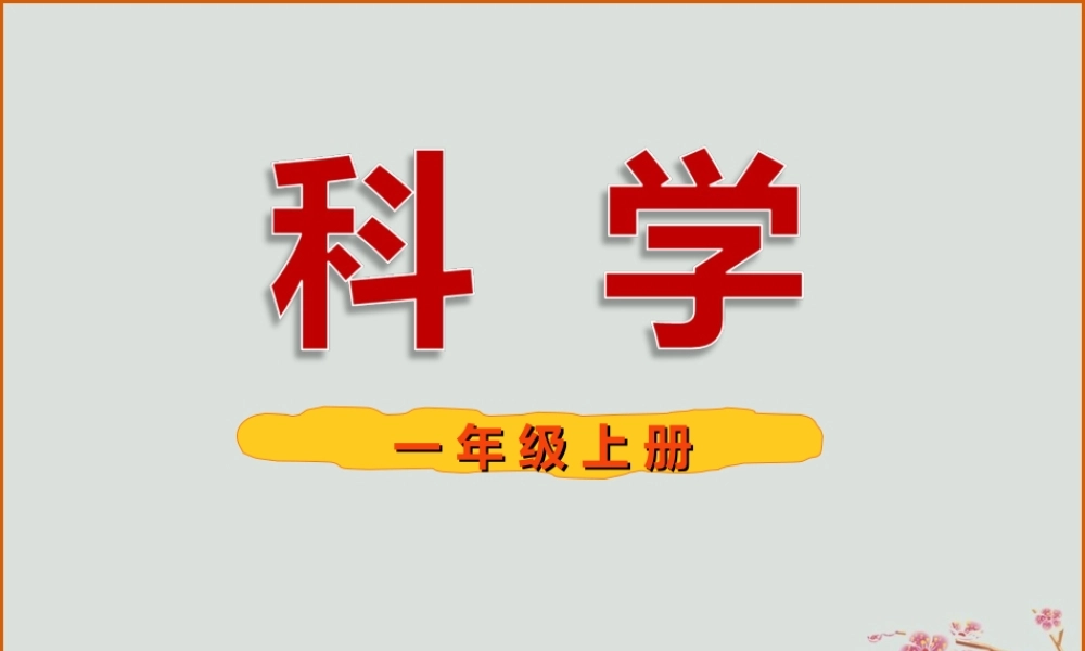 一年级科学上册 第二单元 水果和蔬菜 7 蔬菜长在哪里课件 （新版）粤教版-（新版）粤教版小学一年级上册自然科学课件