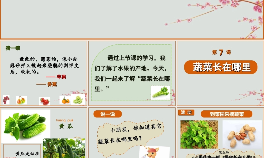 一年级科学上册 第二单元 水果和蔬菜 7 蔬菜长在哪里课件 （新版）粤教版-（新版）粤教版小学一年级上册自然科学课件