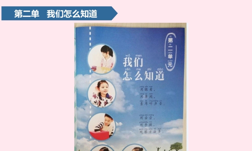 一年级科学上册 第二单元 我们怎么知道 3 看一看课件 青岛版五四制-青岛版小学一年级上册自然科学课件