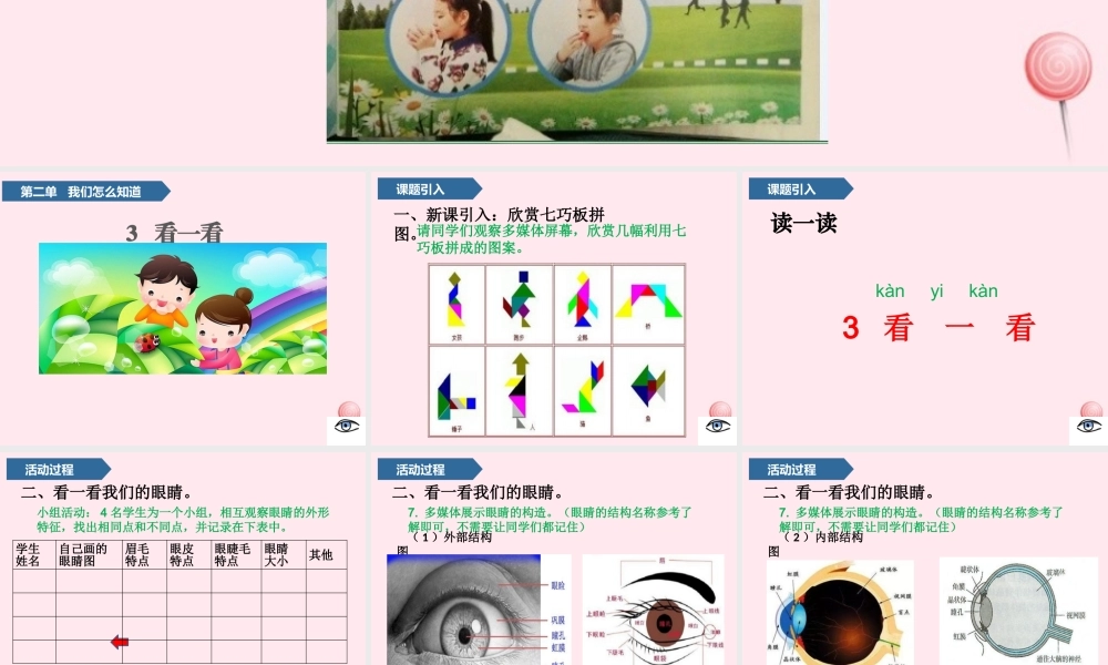 一年级科学上册 第二单元 我们怎么知道 3 看一看课件 青岛版五四制-青岛版小学一年级上册自然科学课件