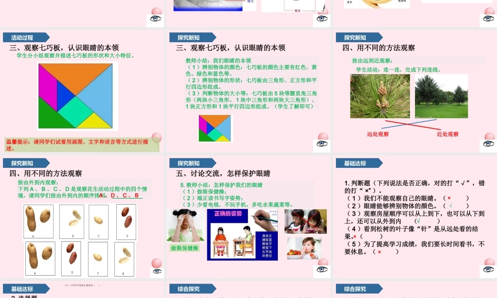 一年级科学上册 第二单元 我们怎么知道 3 看一看课件 青岛版五四制-青岛版小学一年级上册自然科学课件