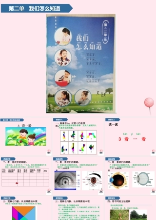 一年级科学上册 第二单元 我们怎么知道 3 看一看课件 青岛版五四制-青岛版小学一年级上册自然科学课件