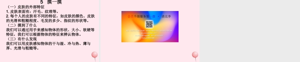 一年级科学上册 第二单元 我们怎么知道 5 摸一摸课件 青岛版五四制-青岛版小学一年级上册自然科学课件