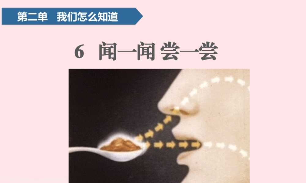 一年级科学上册 第二单元 我们怎么知道 6 闻一闻 尝一尝课件 青岛版五四制-青岛版小学一年级上册自然科学课件