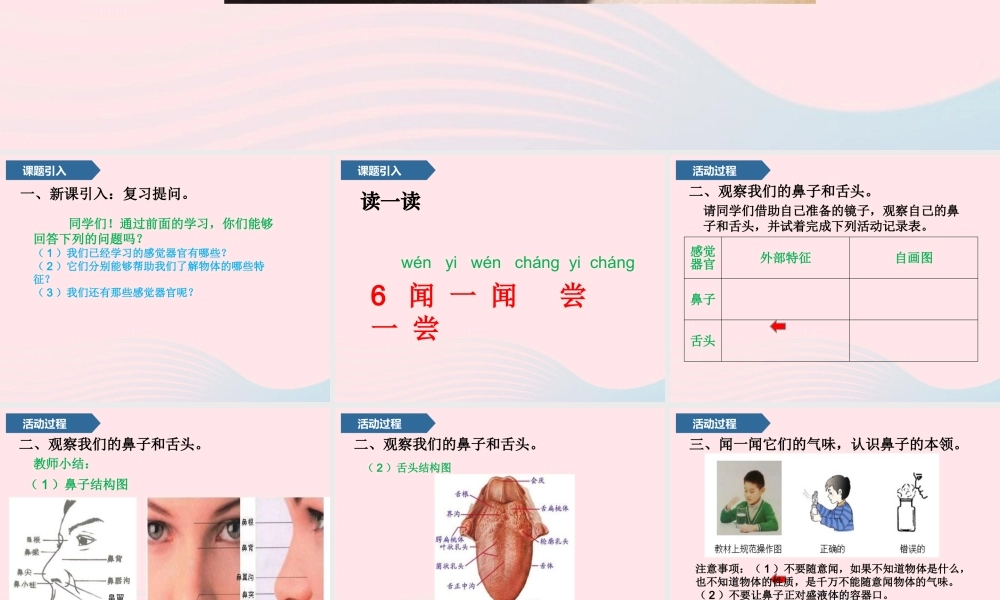 一年级科学上册 第二单元 我们怎么知道 6 闻一闻 尝一尝课件 青岛版五四制-青岛版小学一年级上册自然科学课件