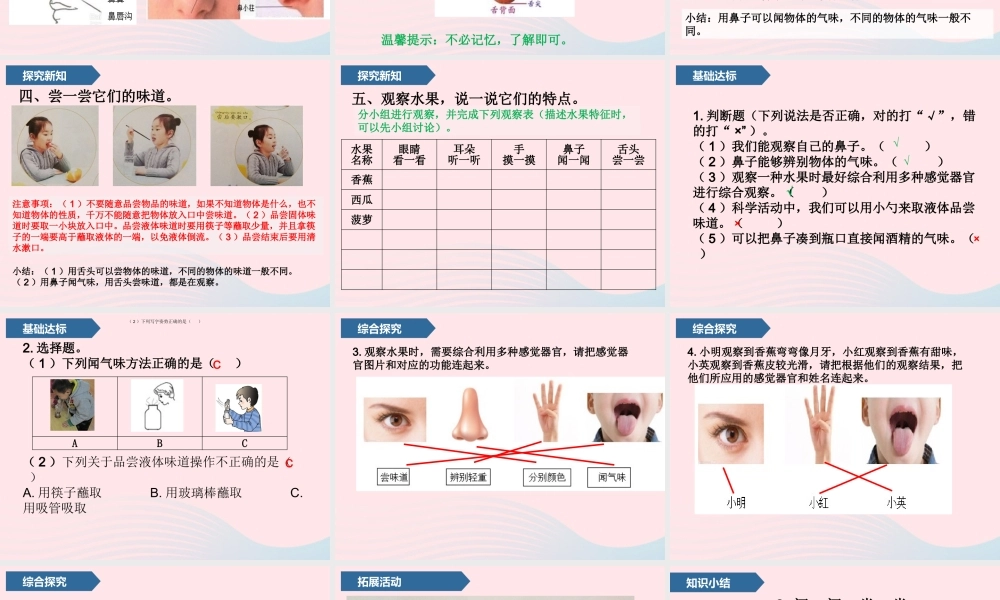 一年级科学上册 第二单元 我们怎么知道 6 闻一闻 尝一尝课件 青岛版五四制-青岛版小学一年级上册自然科学课件
