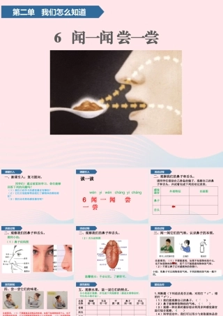 一年级科学上册 第二单元 我们怎么知道 6 闻一闻 尝一尝课件 青岛版五四制-青岛版小学一年级上册自然科学课件
