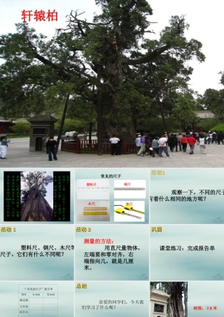 一年级科学上册 第三单元 我们的文具 10 常见的尺子课件3 （新版）粤教版-（新版）粤教版小学一年级上册自然科学课件