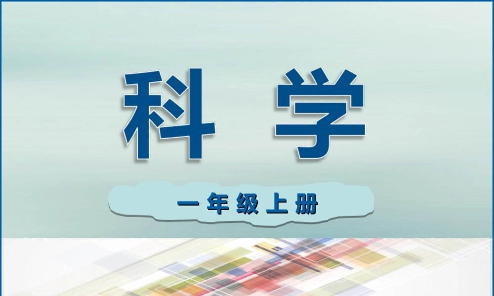 一年级科学上册 第三单元 我们的文具 10 常见的尺子课件4 （新版）粤教版-（新版）粤教版小学一年级上册自然科学课件