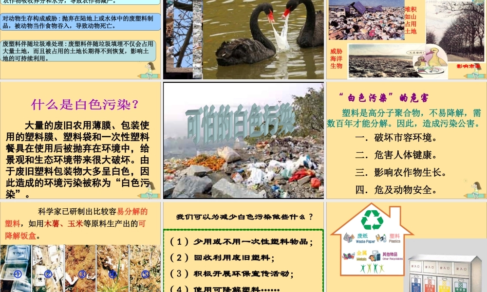 一年级科学上册 第四单元 常见的材料 3 塑料课件（新版）湘科版-人教版小学一年级上册自然科学课件