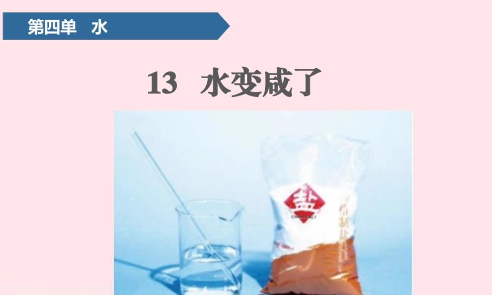 一年级科学上册 第四单元 水 13 水变咸了课件 青岛版五四制-青岛版小学一年级上册自然科学课件