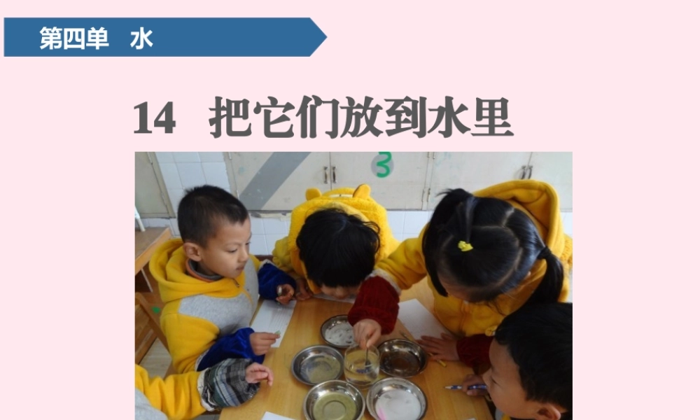 一年级科学上册 第四单元 水 14 把它们放到水里课件 青岛版五四制-青岛版小学一年级上册自然科学课件
