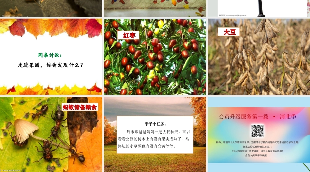 一年级科学上册 第四单元 四季 11 凉爽的秋天课件 （新版）粤教版-（新版）粤教版小学一年级上册自然科学课件